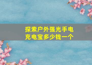 探索户外强光手电充电宝多少钱一个