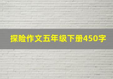 探险作文五年级下册450字