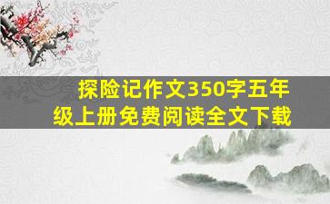 探险记作文350字五年级上册免费阅读全文下载