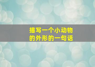 描写一个小动物的外形的一句话