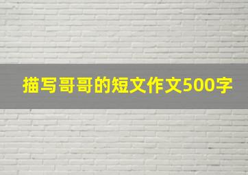 描写哥哥的短文作文500字