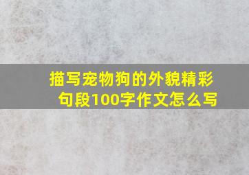 描写宠物狗的外貌精彩句段100字作文怎么写