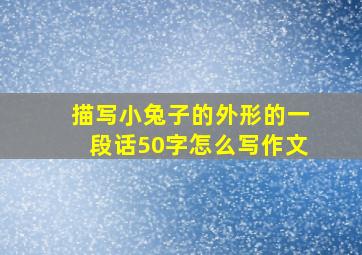 描写小兔子的外形的一段话50字怎么写作文