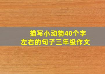 描写小动物40个字左右的句子三年级作文