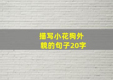 描写小花狗外貌的句子20字