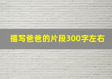 描写爸爸的片段300字左右