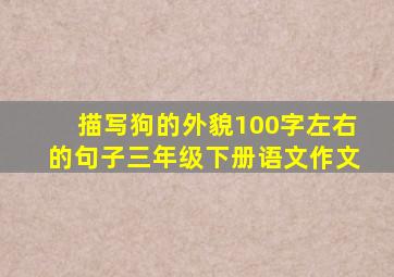 描写狗的外貌100字左右的句子三年级下册语文作文