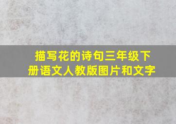 描写花的诗句三年级下册语文人教版图片和文字