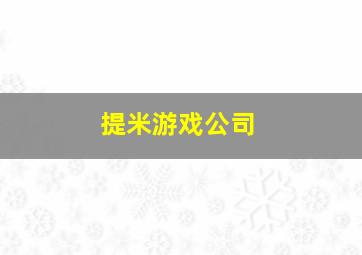 提米游戏公司