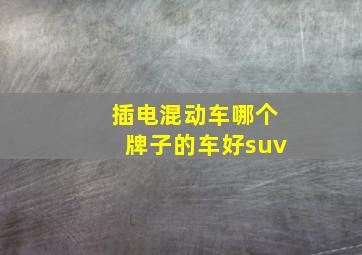 插电混动车哪个牌子的车好suv