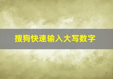 搜狗快速输入大写数字