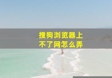 搜狗浏览器上不了网怎么弄