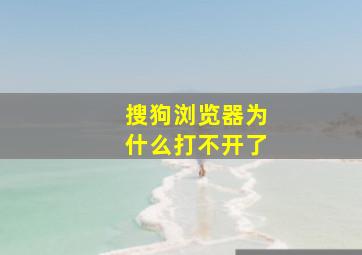 搜狗浏览器为什么打不开了