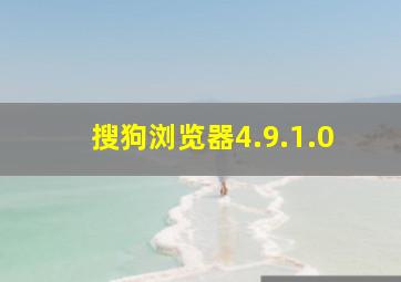 搜狗浏览器4.9.1.0