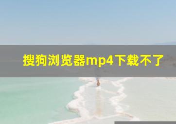 搜狗浏览器mp4下载不了