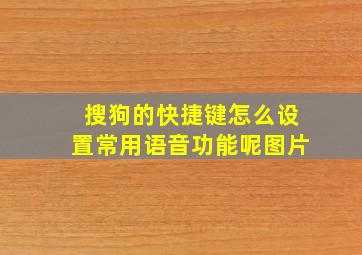 搜狗的快捷键怎么设置常用语音功能呢图片