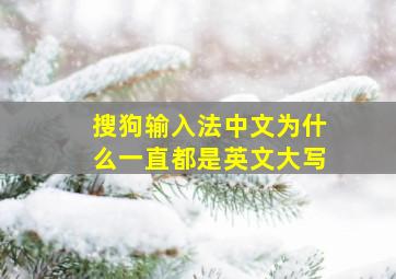 搜狗输入法中文为什么一直都是英文大写