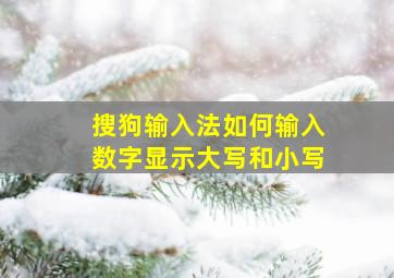 搜狗输入法如何输入数字显示大写和小写