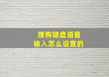 搜狗键盘语音输入怎么设置的