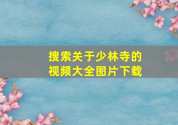 搜索关于少林寺的视频大全图片下载