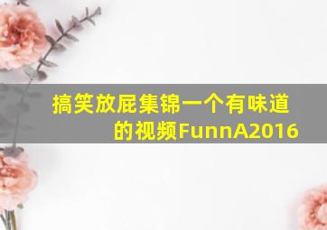 搞笑放屁集锦一个有味道的视频FunnA2016