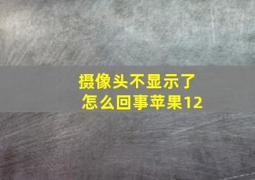 摄像头不显示了怎么回事苹果12