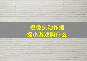 摄像头动作捕捉小游戏叫什么