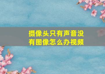 摄像头只有声音没有图像怎么办视频