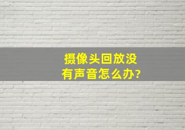 摄像头回放没有声音怎么办?