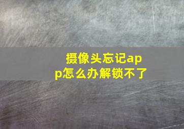 摄像头忘记app怎么办解锁不了