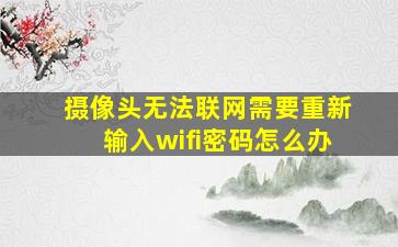 摄像头无法联网需要重新输入wifi密码怎么办