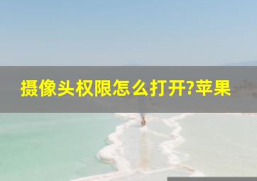 摄像头权限怎么打开?苹果