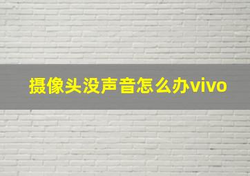 摄像头没声音怎么办vivo