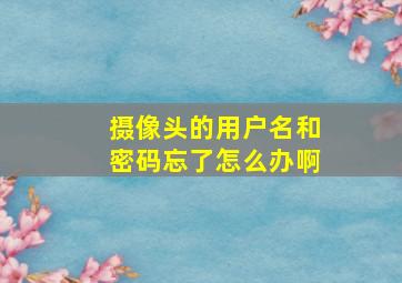 摄像头的用户名和密码忘了怎么办啊