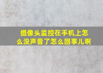 摄像头监控在手机上怎么没声音了怎么回事儿啊