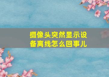 摄像头突然显示设备离线怎么回事儿