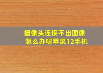 摄像头连接不出图像怎么办呀苹果12手机