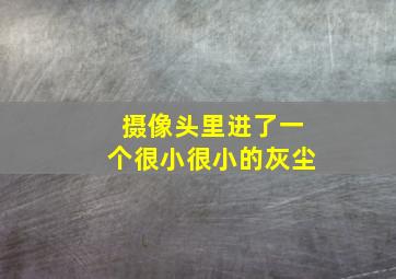 摄像头里进了一个很小很小的灰尘