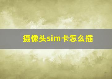 摄像头sim卡怎么插