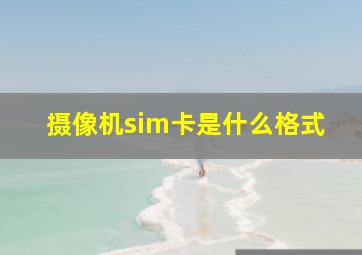 摄像机sim卡是什么格式