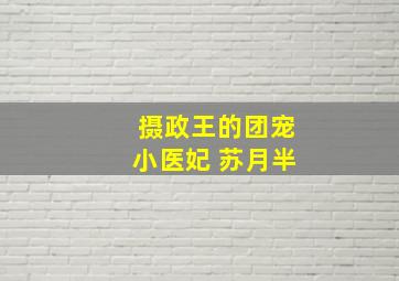 摄政王的团宠小医妃 苏月半