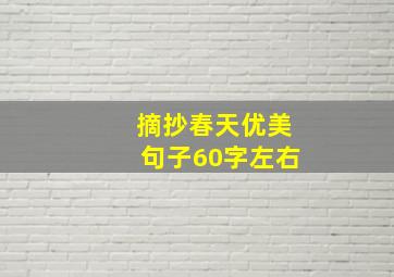 摘抄春天优美句子60字左右