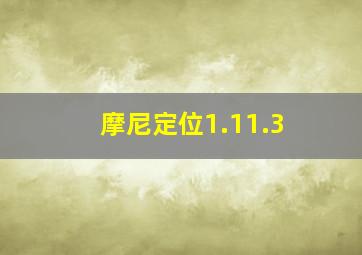 摩尼定位1.11.3