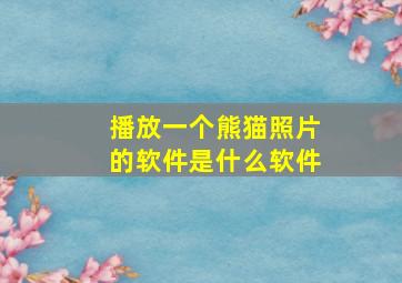 播放一个熊猫照片的软件是什么软件