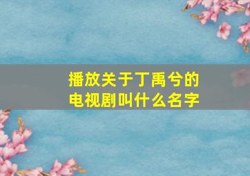 播放关于丁禹兮的电视剧叫什么名字