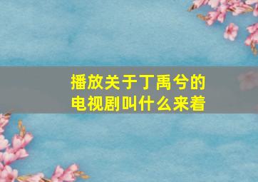 播放关于丁禹兮的电视剧叫什么来着