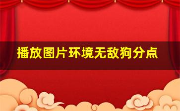 播放图片环境无敌狗分点