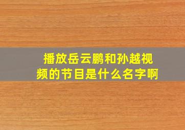 播放岳云鹏和孙越视频的节目是什么名字啊