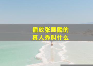 播放张麒麟的真人秀叫什么