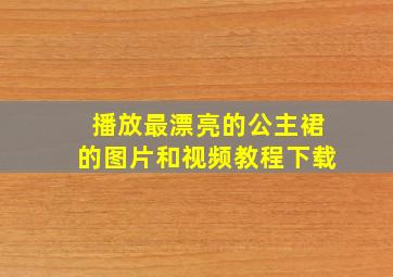 播放最漂亮的公主裙的图片和视频教程下载